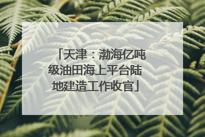 天津：渤海亿吨级油田海上平台陆地建造工作收官