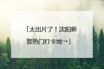 太出片了！沈阳新晋热门打卡地→