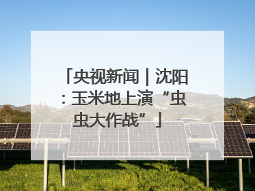 央视新闻｜沈阳：玉米地上演“虫虫大作战”