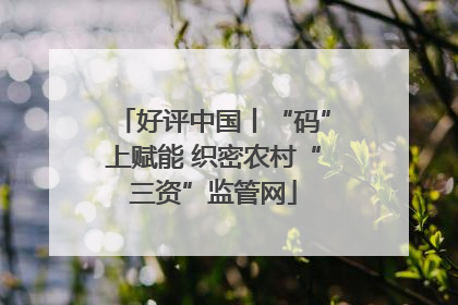 好评中国丨“码”上赋能 织密农村“三资”监管网