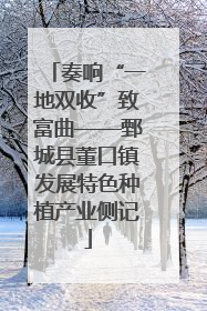 奏响“一地双收”致富曲——鄄城县董口镇发展特色种植产业侧记