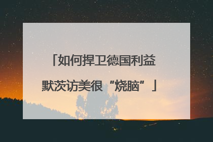 如何捍卫德国利益 默茨访美很“烧脑”