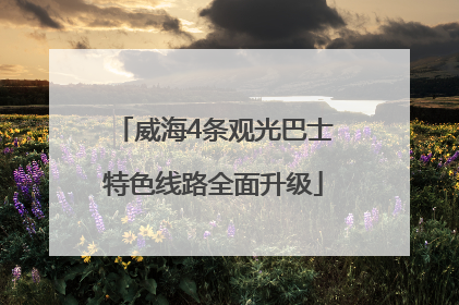 威海4条观光巴士特色线路全面升级