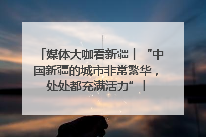 媒体大咖看新疆丨“中国新疆的城市非常繁华，处处都充满活力”