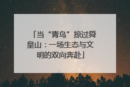 当“青鸟”掠过舜皇山：一场生态与文明的双向奔赴