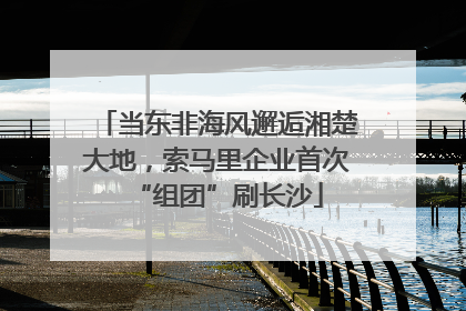 当东非海风邂逅湘楚大地，索马里企业首次“组团”刷长沙