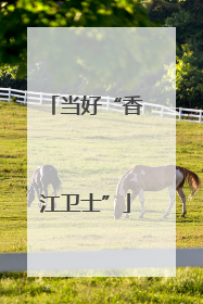 当好“香江卫士”