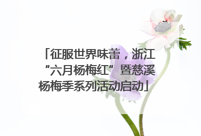 征服世界味蕾，浙江“六月杨梅红”暨慈溪杨梅季系列活动启动