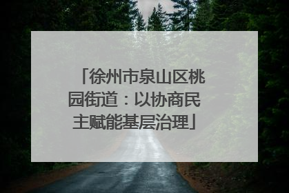 徐州市泉山区桃园街道：以协商民主赋能基层治理