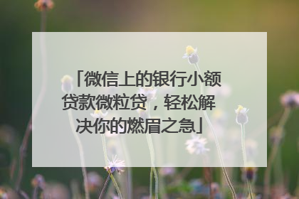 微信上的银行小额贷款微粒贷，轻松解决你的燃眉之急