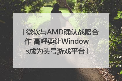微软与AMD确认战略合作 高呼要让Windows成为头号游戏平台