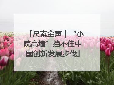 尺素金声｜“小院高墙”挡不住中国创新发展步伐