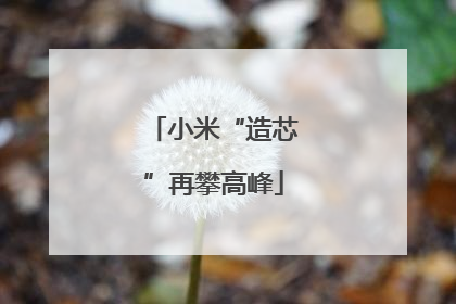 小米“造芯”再攀高峰