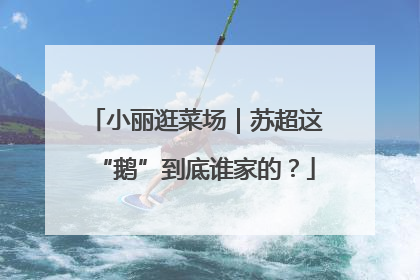小丽逛菜场｜苏超这“鹅”到底谁家的？