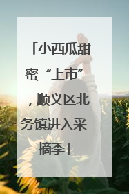 小西瓜甜蜜“上市”，顺义区北务镇进入采摘季