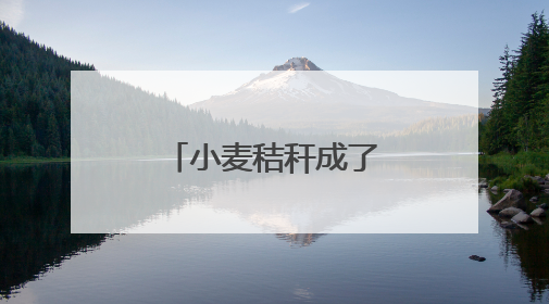 小麦秸秆成了“香饽饽”