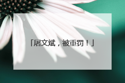 屠文斌，被重罚！