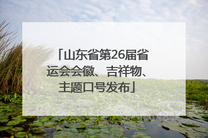 山东省第26届省运会会徽、吉祥物、主题口号发布