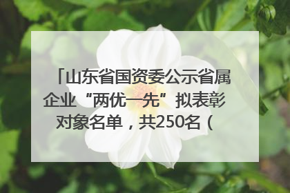 山东省国资委公示省属企业“两优一先”拟表彰对象名单，共250名（个）党员和党组织