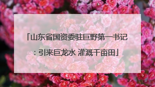 山东省国资委驻巨野第一书记：引来巨龙水 灌溉千亩田
