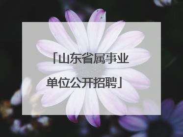 山东省属事业单位公开招聘