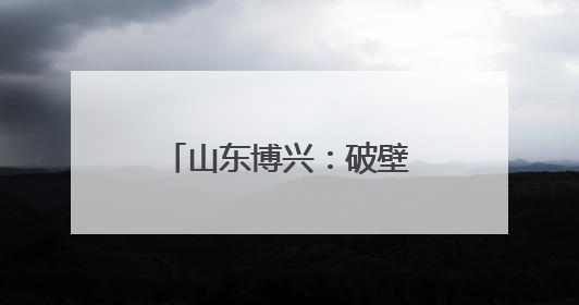 山东博兴：破壁·聚变·共生政务服务六维增值赋能“高效办成”