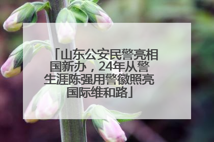 山东公安民警亮相国新办，24年从警生涯陈强用警徽照亮国际维和路