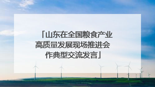 山东在全国粮食产业高质量发展现场推进会作典型交流发言