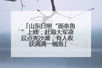 山东日照“面条鱼”上线，赶海大军凌晨点亮沙滩，有人收获满满一桶鱼