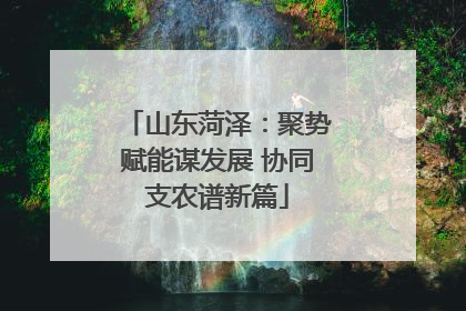 山东菏泽：聚势赋能谋发展 协同支农谱新篇