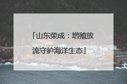 山东荣成：增殖放流守护海洋生态