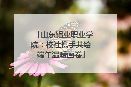 山东铝业职业学院：校社携手共绘端午温暖画卷