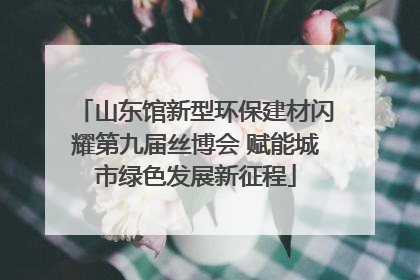 山东馆新型环保建材闪耀第九届丝博会 赋能城市绿色发展新征程