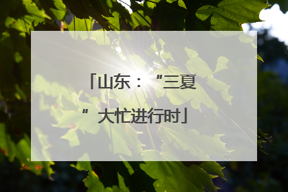 山东：“三夏”大忙进行时