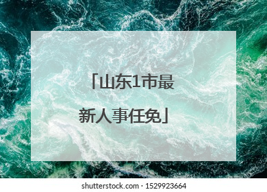 山东1市最新人事任免
