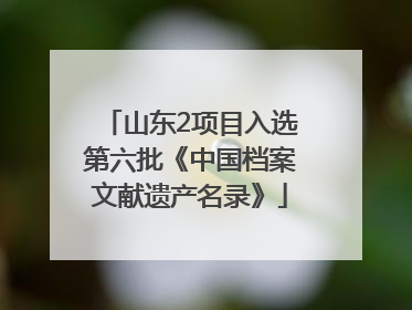 山东2项目入选第六批《中国档案文献遗产名录》