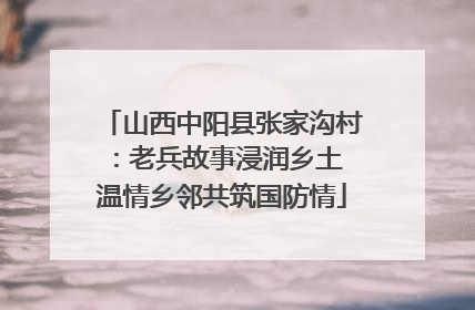 山西中阳县张家沟村：老兵故事浸润乡土 温情乡邻共筑国防情