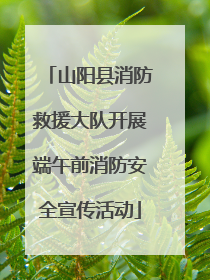 山阳县消防救援大队开展端午前消防安全宣传活动