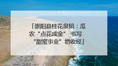 崇阳县桂花泉镇：瓜农“点花成金” 书写“甜蜜事业”增收经