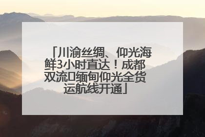 川渝丝绸、仰光海鲜3小时直达！成都双流⇌缅甸仰光全货运航线开通