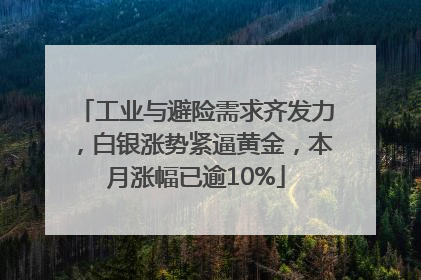 工业与避险需求齐发力，白银涨势紧逼黄金，本月涨幅已逾10%