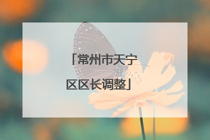 常州市天宁区区长调整