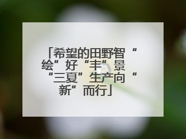 希望的田野智“绘”好“丰”景 “三夏”生产向“新”而行