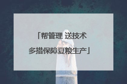 帮管理 送技术 多措保障夏粮生产