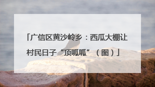广信区黄沙岭乡：西瓜大棚让村民日子“顶呱呱”（图）