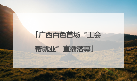 广西百色首场“工会帮就业”直播落幕