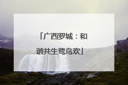 广西罗城：和谐共生鹭鸟欢
