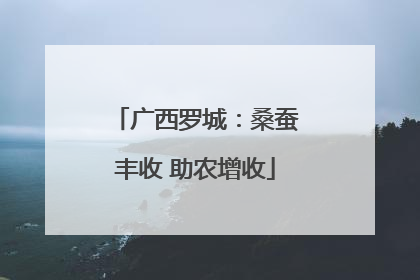广西罗城：桑蚕丰收 助农增收