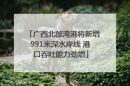 广西北部湾港将新增991米深水岸线 港口吞吐能力劲增