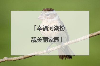 幸福河湖扮靓美丽家园